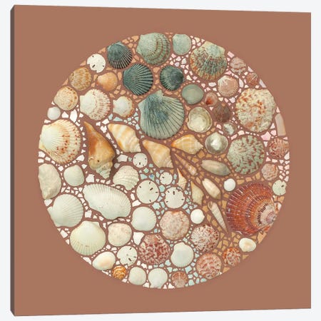 Seashells And Eggshells Canvas Print #KMY34} by Kristen Meyer Canvas Wall Art