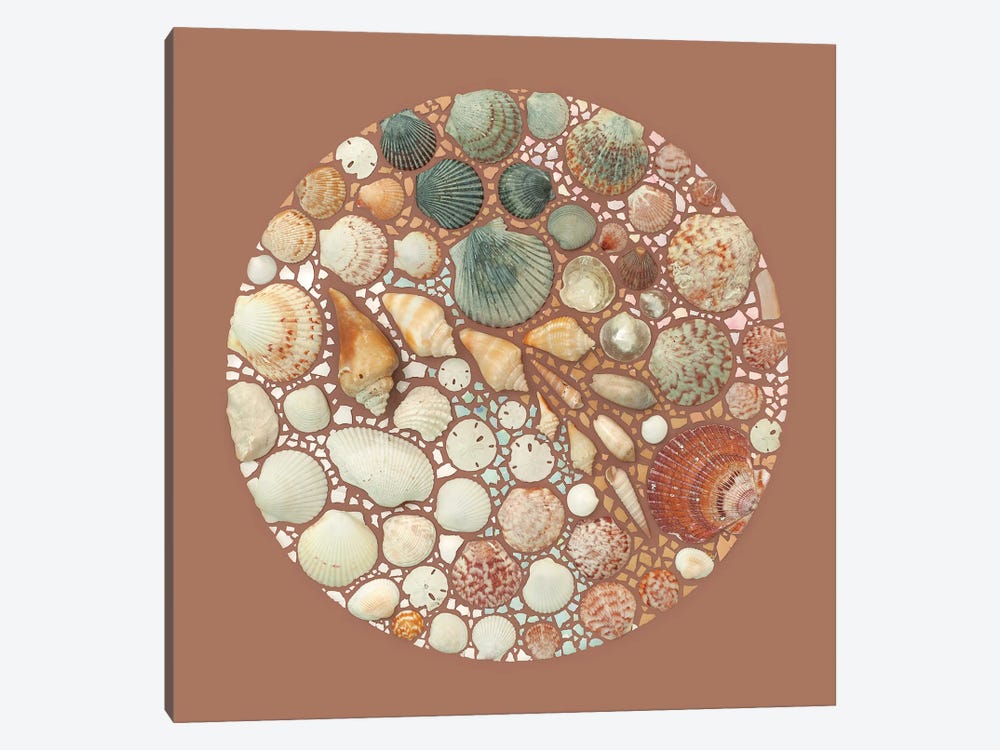 Seashells And Eggshells by Kristen Meyer 1-piece Canvas Art Print