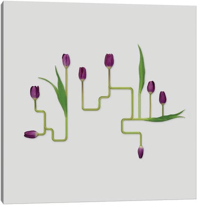 Mechanically Grown Canvas Art Print - Tulip Art
