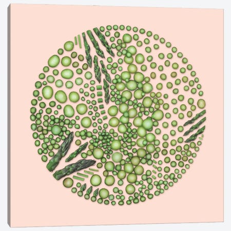 Chopped Asparagus Canvas Print #KMY4} by Kristen Meyer Canvas Art