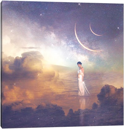 Inner Journey Canvas Art Print - Midnight Moon Visuals
