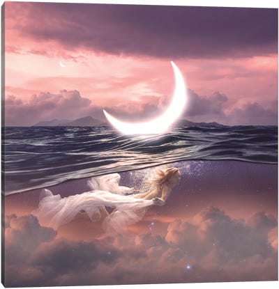 New Moon In Cancer Canvas Art Print - Cancer