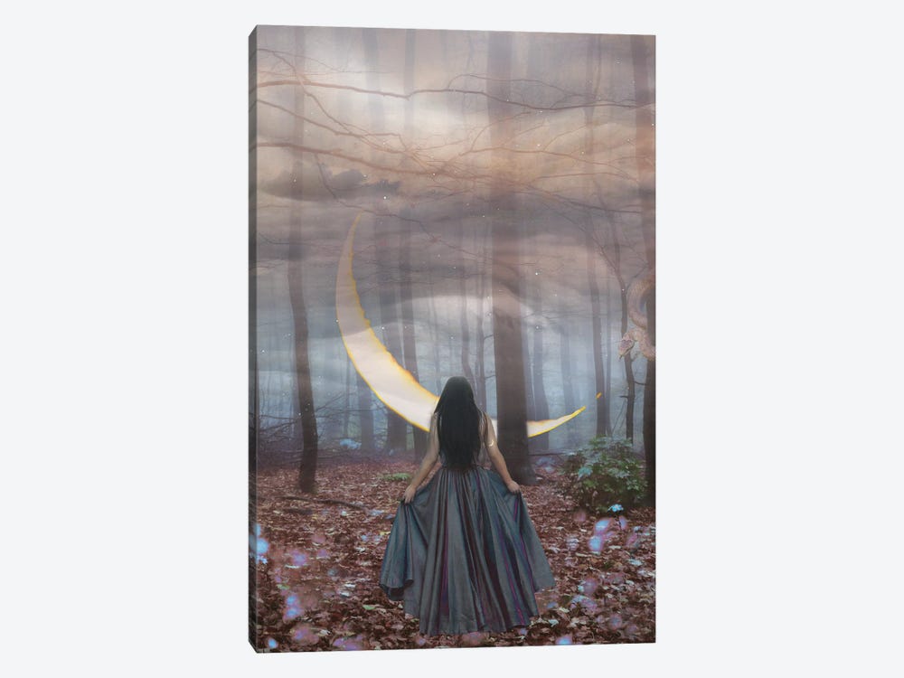 New Moon in Scorpio by Midnight Moon Visuals 1-piece Canvas Wall Art