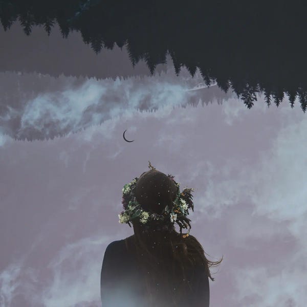 Midnight Moon Visuals: Retrograde by Midnight Moon Visuals