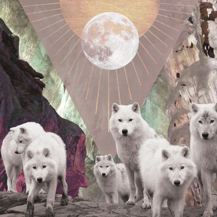 She Runs With The Wolves