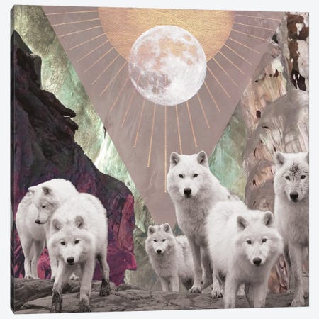 She Runs With The Wolves Canvas Print #KMZ22} by Midnight Moon Visuals Canvas Art Print