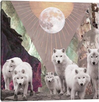 She Runs With The Wolves Canvas Art Print - Midnight Moon Visuals