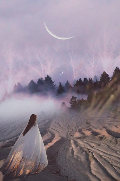 Sojourn by Midnight Moon Visuals canvas print