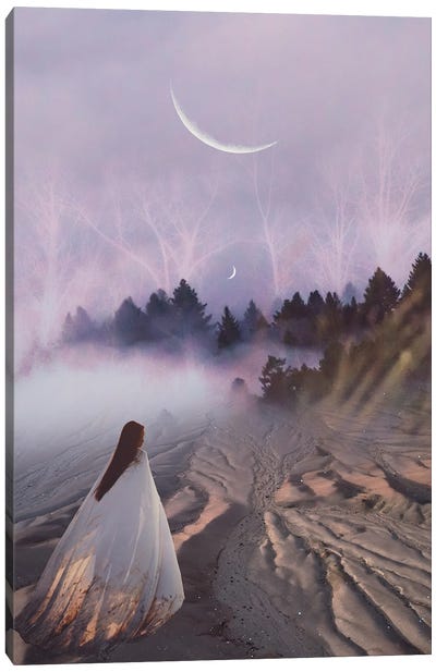 Sojourn Canvas Art Print - Midnight Moon Visuals
