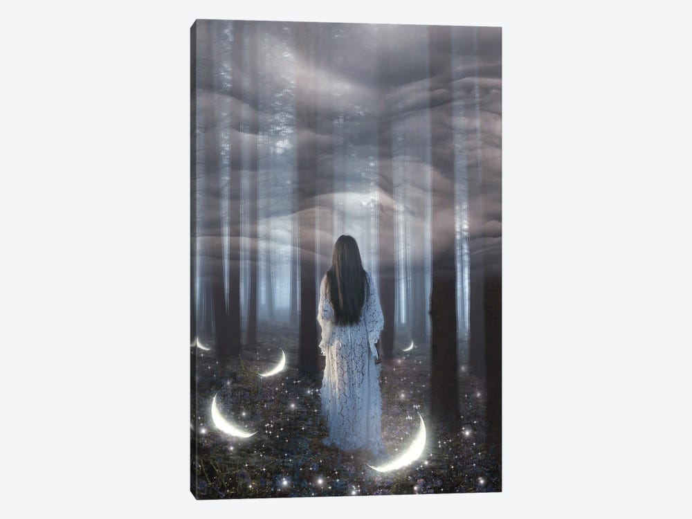 Into The Woods by Midnight Moon Visuals 1-piece Canvas Wall Art