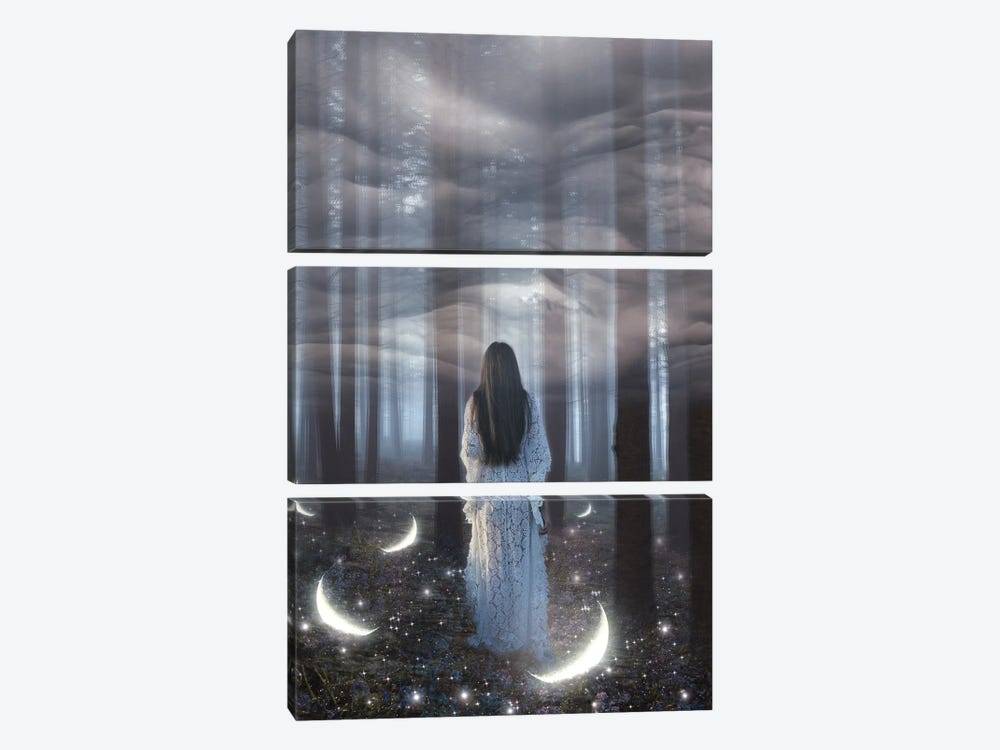 Into The Woods by Midnight Moon Visuals 3-piece Canvas Art