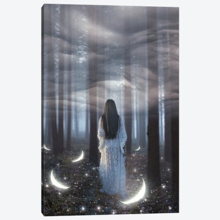Into The Woods Canvas Print #KMZ31} by Midnight Moon Visuals Canvas Wall Art