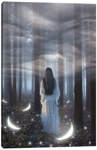 Into The Woods Canvas Art Print - The Secret Lives of Fairies