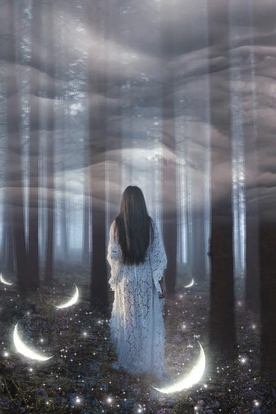 Midnight Moon Visuals: Into The Woods by Midnight Moon Visuals