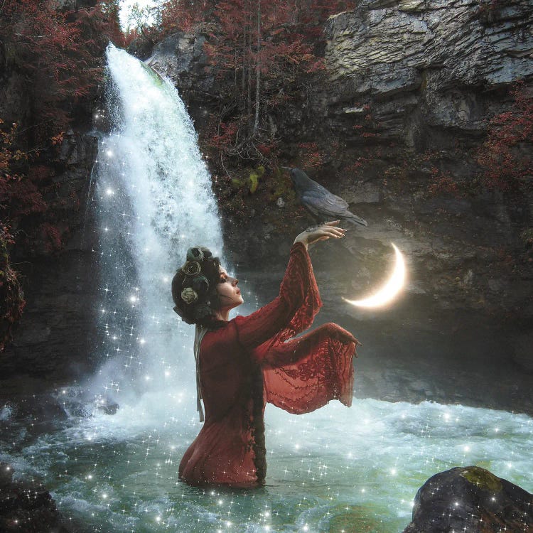 Autumn Magick by Midnight Moon Visuals wall art