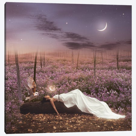 Dreaming Canvas Print #KMZ5} by Midnight Moon Visuals Art Print