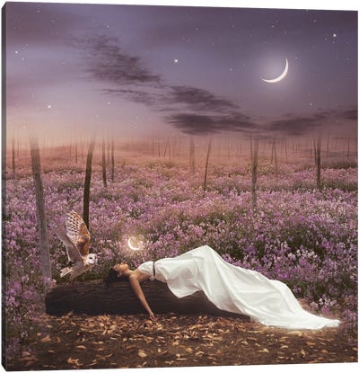 Dreaming Canvas Art Print - Midnight Moon Visuals