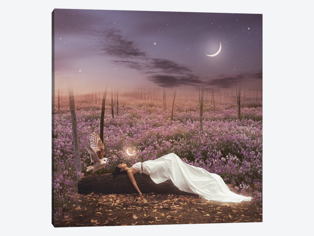 Dreaming by Midnight Moon Visuals 1-piece Canvas Artwork