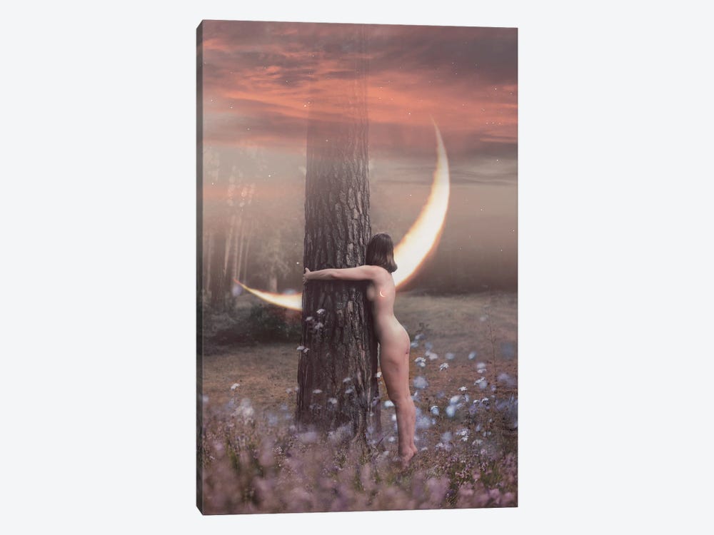 Forest Witch by Midnight Moon Visuals 1-piece Canvas Art Print