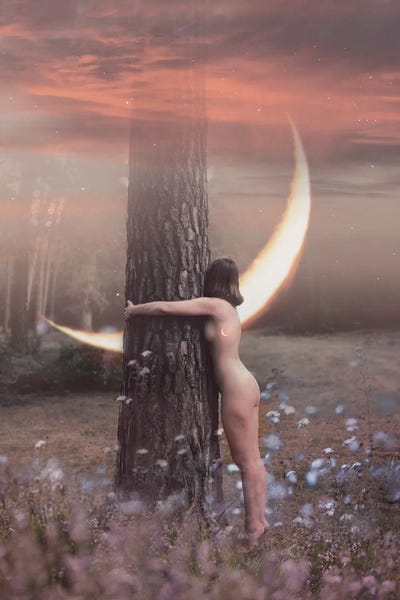 Midnight Moon Visuals: Forest Witch by Midnight Moon Visuals