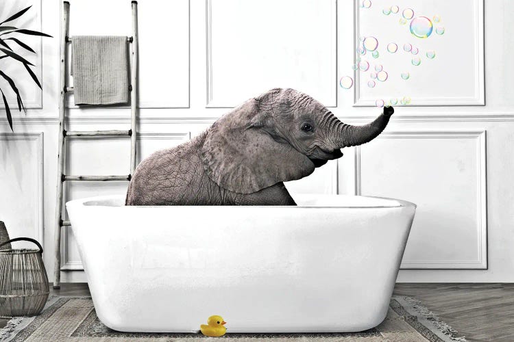 Elephant Bath