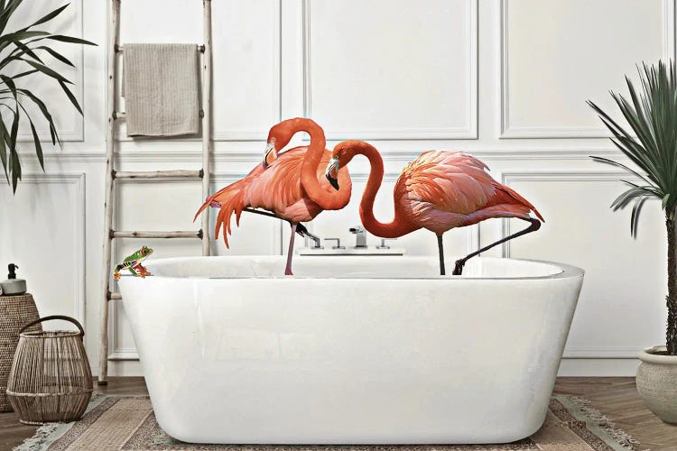 Flamingos With Frog