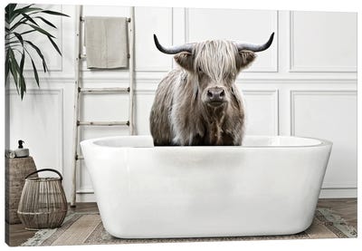 Highland Bath Time Canvas Art Print - Cow Art