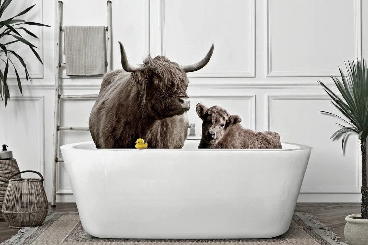 Cattle In My Bathtub