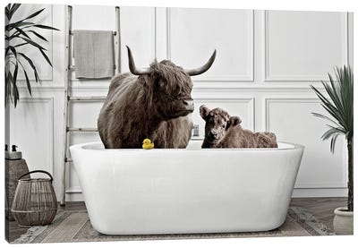 Cattle In My Bathtub Canvas Art Print - Highland Cow Art