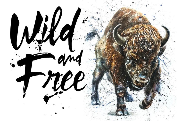 Buffalo Wild & Free II