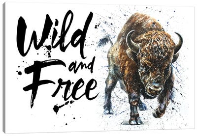 Buffalo Wild & Free II Canvas Art Print - Konstantin Kalinin