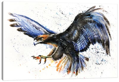 Eagle II Canvas Art Print