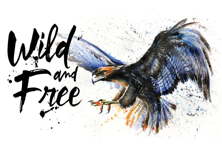 Eagle Wild And Free