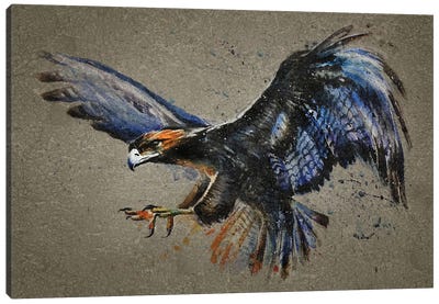 Eagle Bg Canvas Art Print