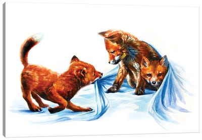 Fox Kids III Canvas Art Print - Konstantin Kalinin