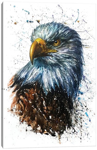 American Eagle Canvas Art Print - Eagle Art