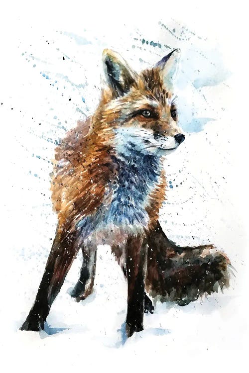 Fox IV