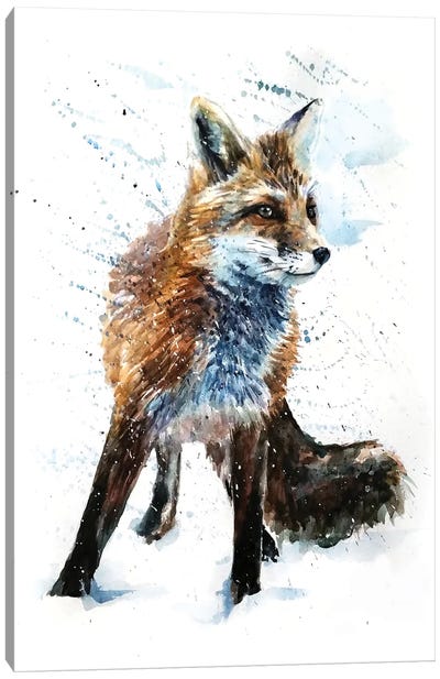Fox IV Canvas Art Print