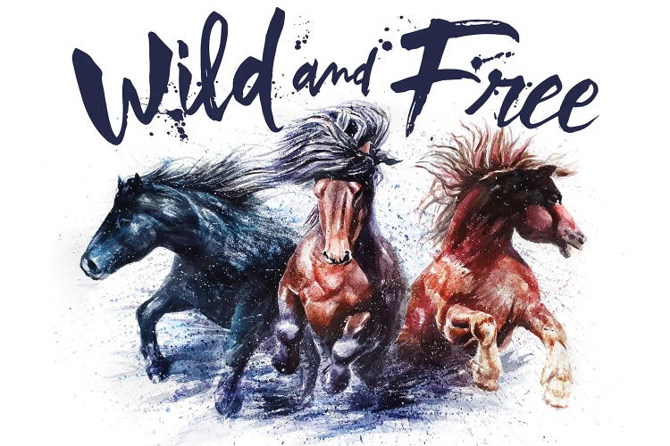 Horses Wild And Free