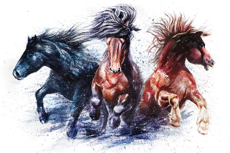 Horses