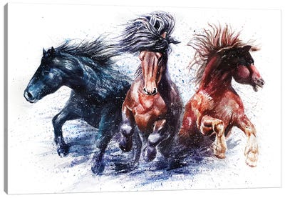 Horses Canvas Art Print - Konstantin Kalinin