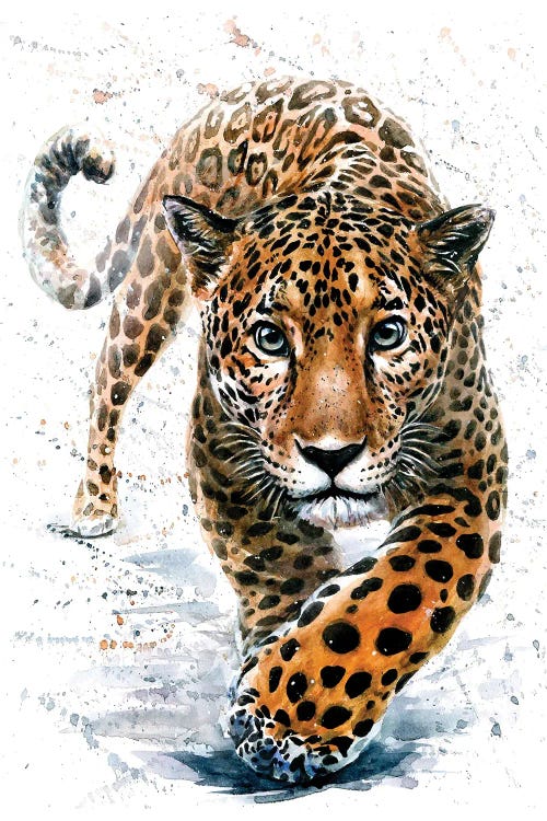 Jaguar