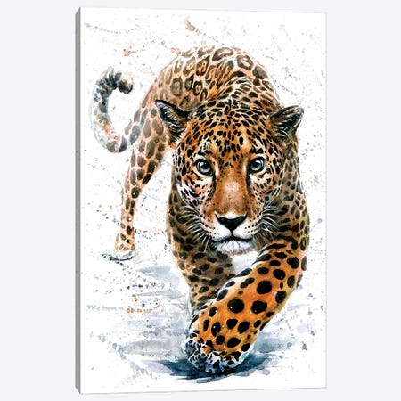 Jaguar Canvas Print #KNK26} by Konstantin Kalinin Art Print
