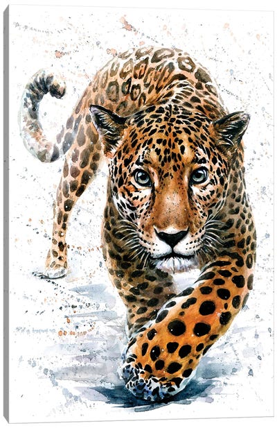 Jaguar Canvas Art Print - Konstantin Kalinin