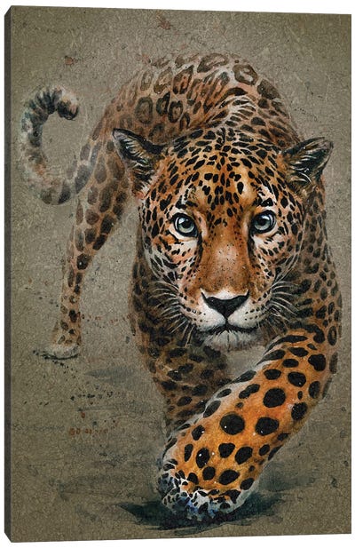Leopard Canvas Art Print - Konstantin Kalinin