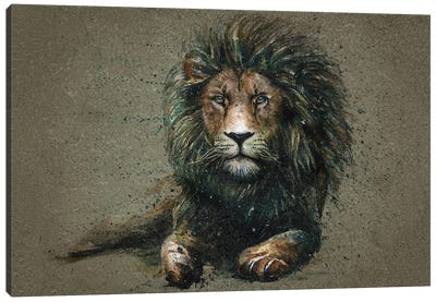 Lion II Canvas Art Print - Konstantin Kalinin
