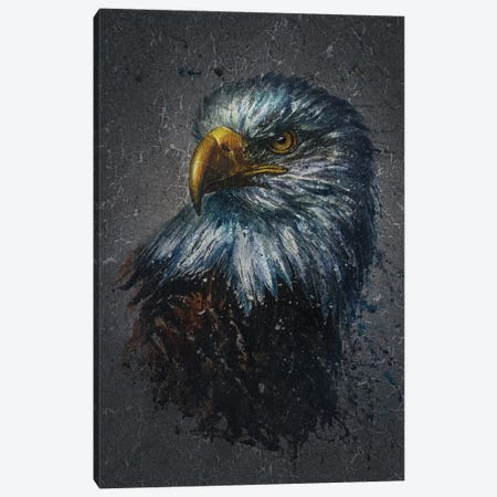 American Eagle Bg Canvas Print #KNK2} by Konstantin Kalinin Canvas Print
