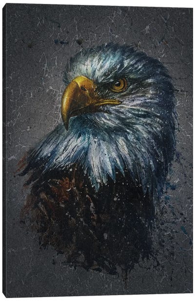 American Eagle Bg Canvas Art Print