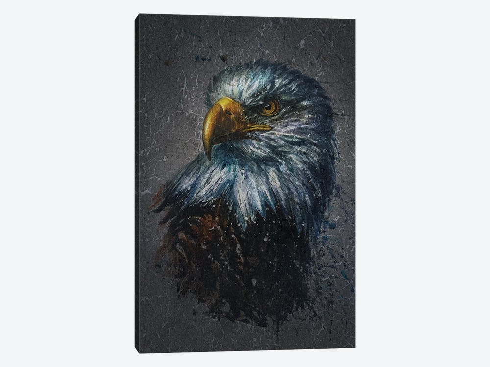 American Eagle Bg by Konstantin Kalinin 1-piece Canvas Artwork