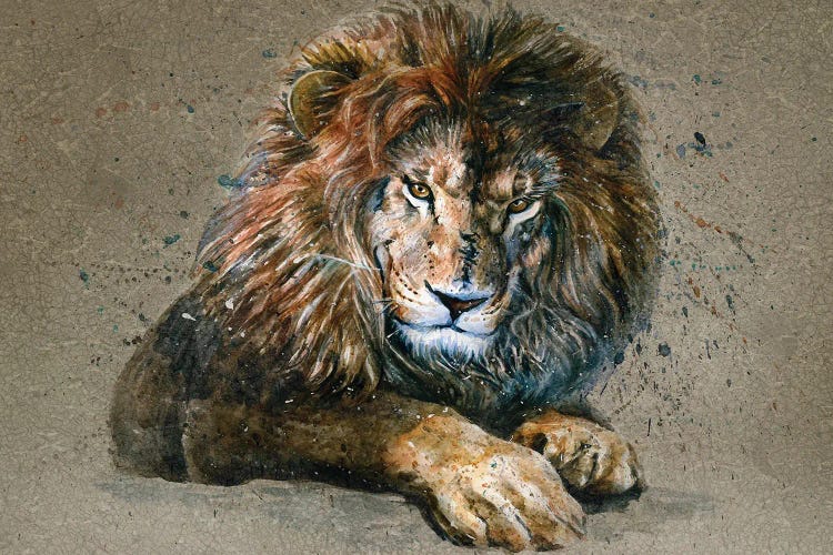 Lion III